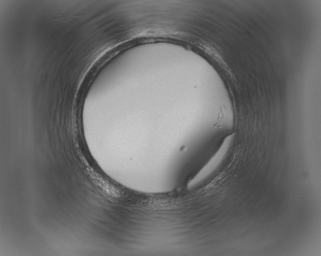 X0000060240976200511241329