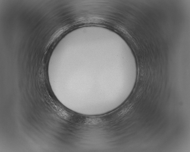 X0000060240978200511241329