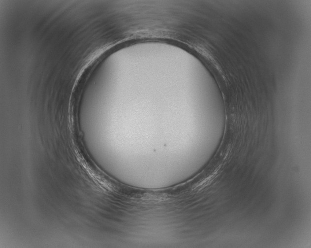 X0000060240981200511241329