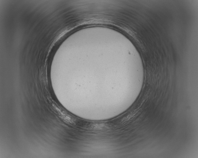 X0000060240982200511241329