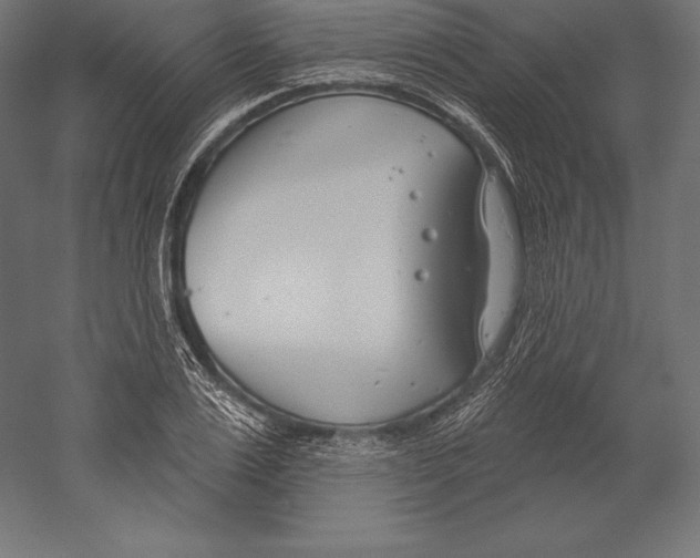 X0000060240983200511241329