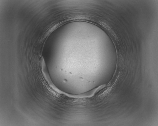 X0000060240985200511241329