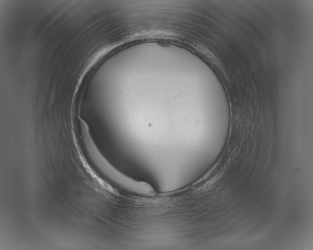 X0000060240989200511241329
