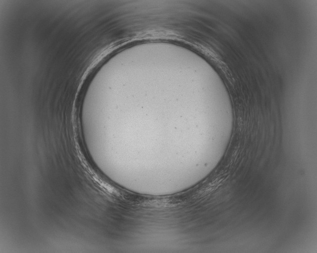X0000060240990200511241329