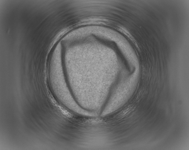X0000060240994200511241329