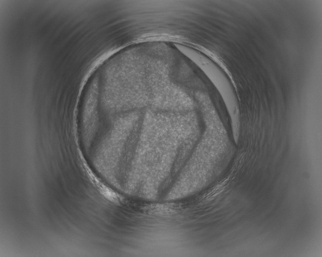 X0000060240995200511241329