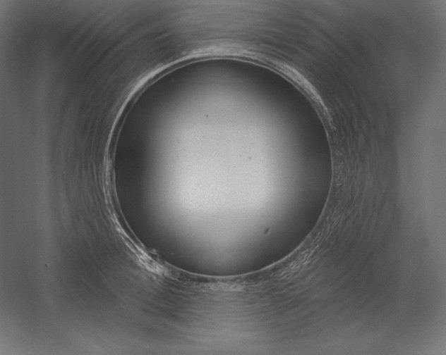 X0000060240996200511241329