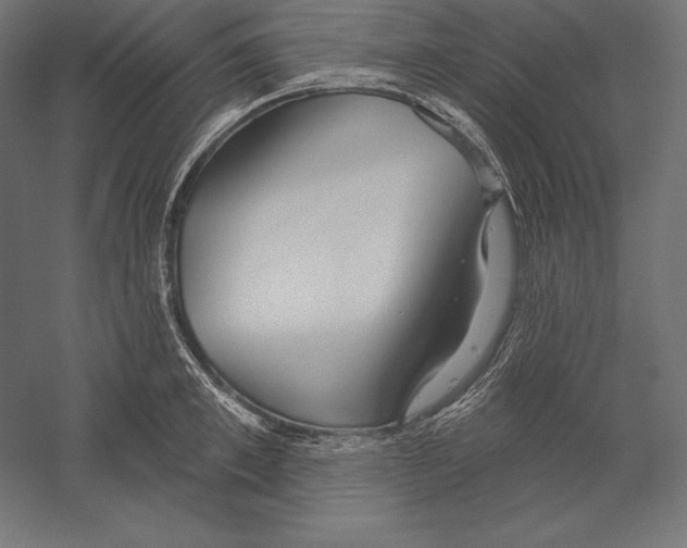 X0000060240997200511241328