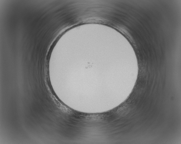 X0000060241000200511241328