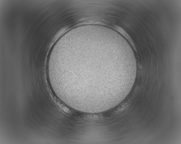 X0000060241002200511241328