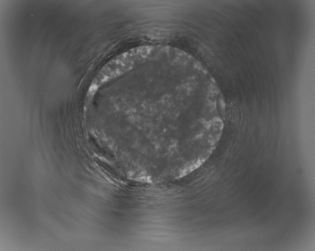 X0000060241009200511241327