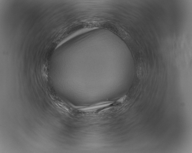 X0000060241010200511241327