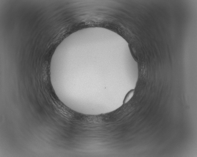 X0000060241012200511241328