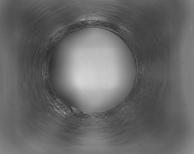 X0000060241014200511241328