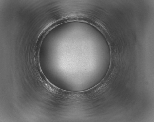 X0000060241018200511241328