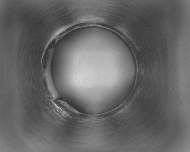 X0000060241022200511241328