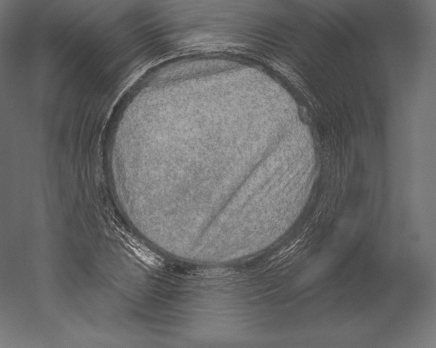 X0000060241023200511241328