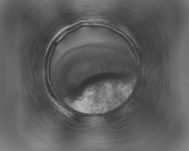 X0000060241024200511241328