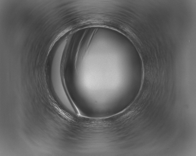 X0000060241026200511241328