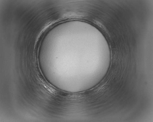 X0000060241027200511241328