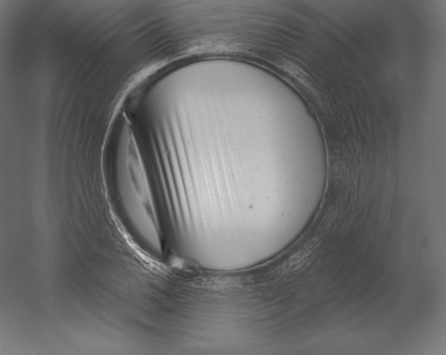 X0000060241030200511241328