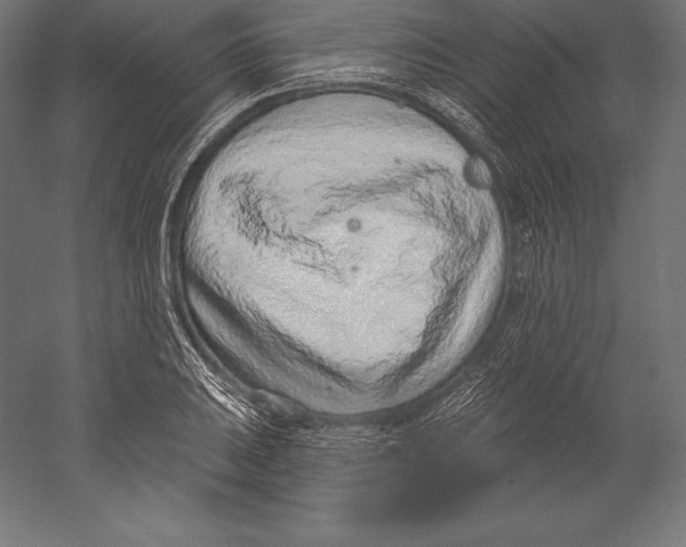 X0000060241031200511241328