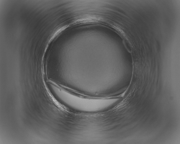 X0000060241034200511241328