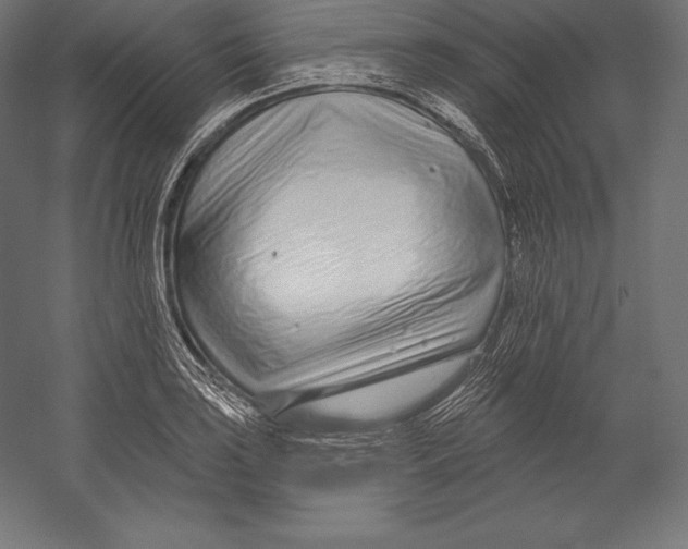 X0000060241035200511241328