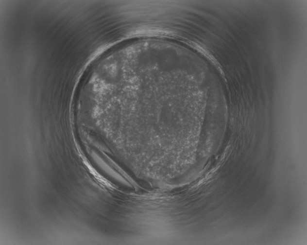 X0000060241037200511241328
