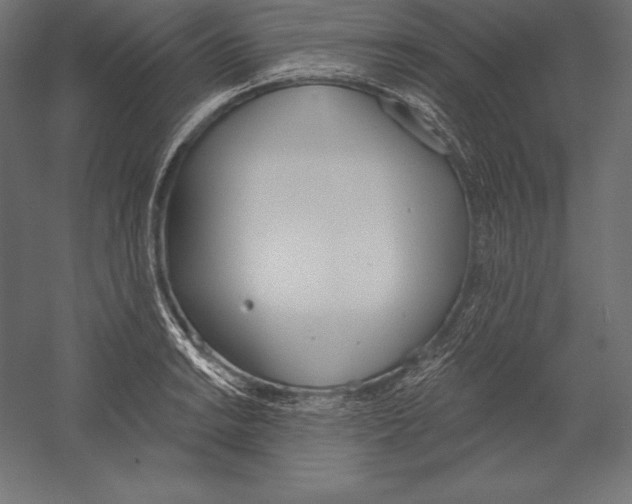 X0000060241038200511241328