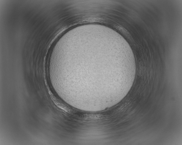 X0000060241039200511241328