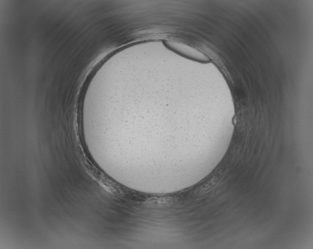 X0000060241051200511241328