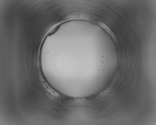 X0000060241052200511241328