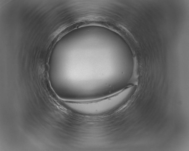X0000060241065200511241327