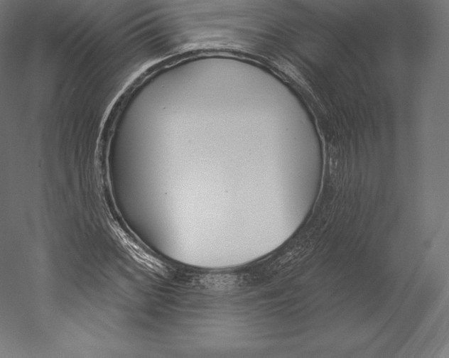 X0000060241068200511241327