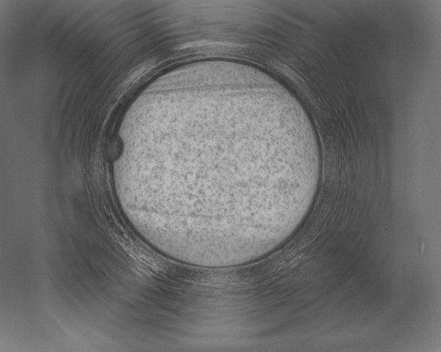X0000060241074200511241327