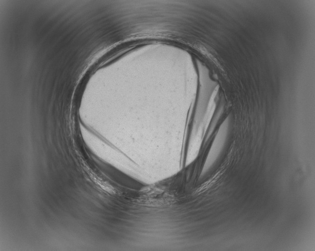 X0000060241077200511241327