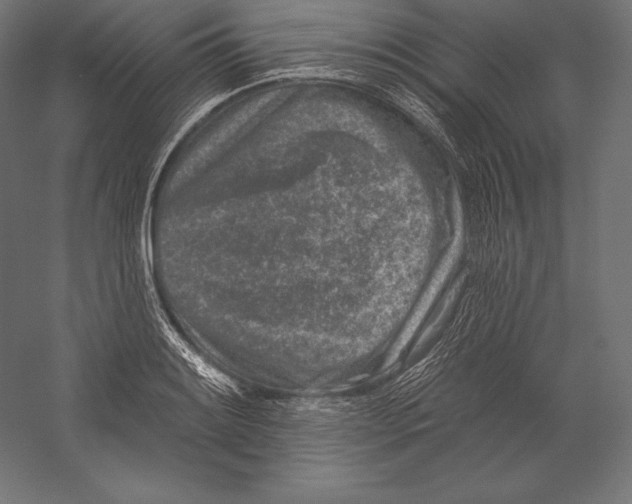 X0000060241084200511241327