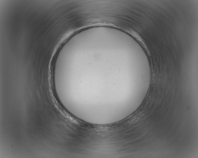 X0000060241096200511241327