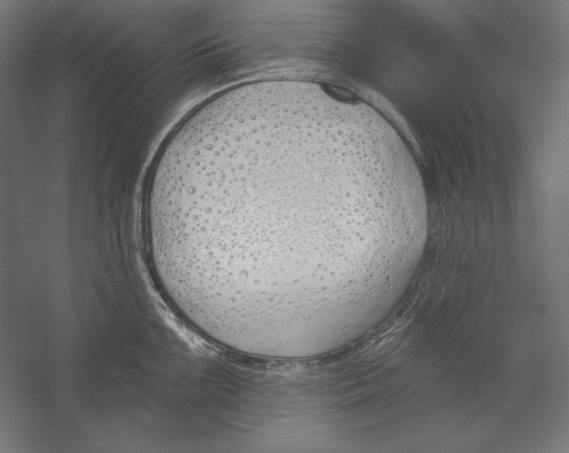 X0000060241099200511241327