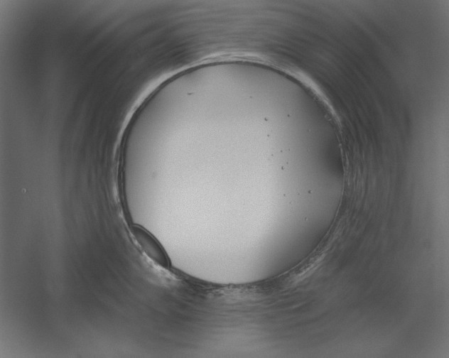 X0000060241102200511241327