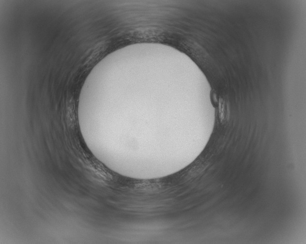 X0000060241107200511241326