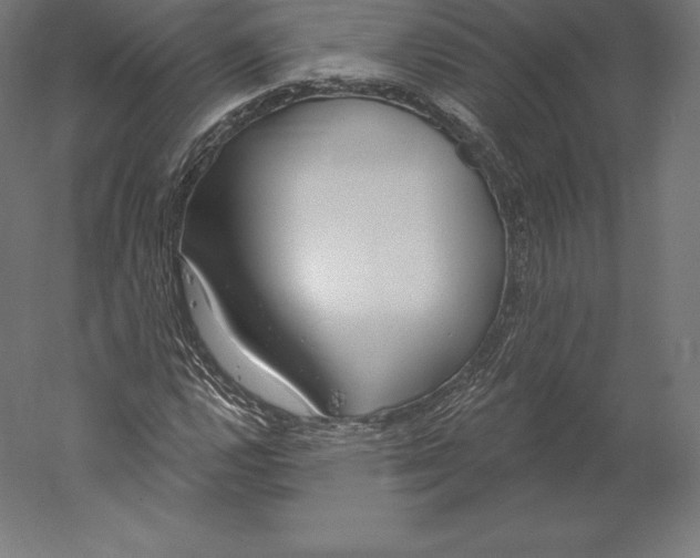 X0000060241112200511241326