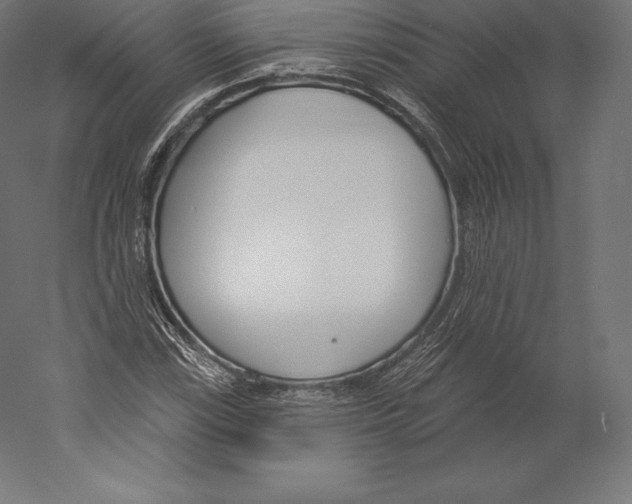 X0000060241115200511241326