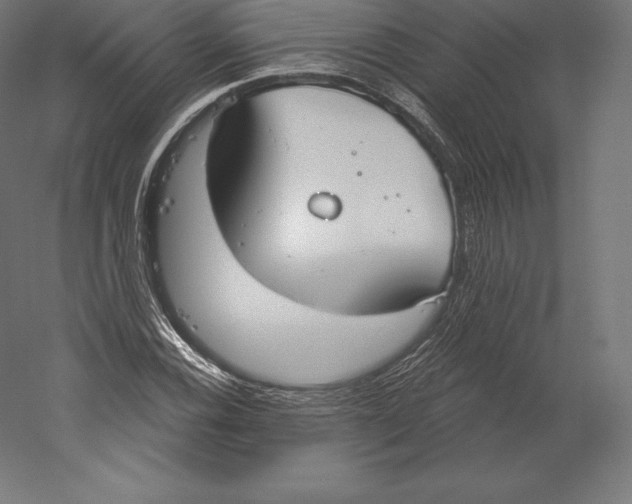 X0000060241116200511241326