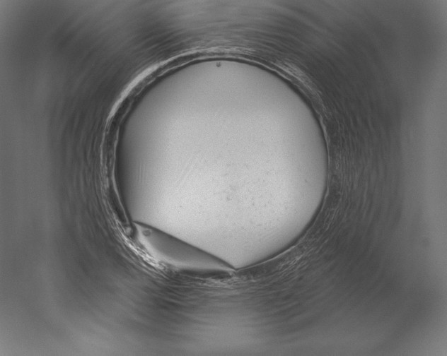 X0000060241120200511241326