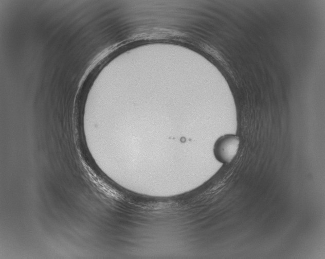 X0000060241122200511241326