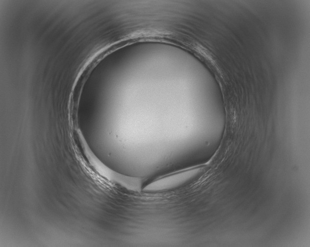 X0000060241124200511241326