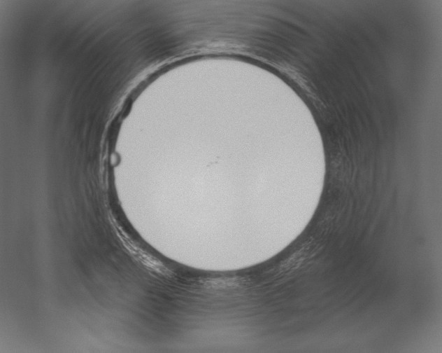 X0000060241126200511241326
