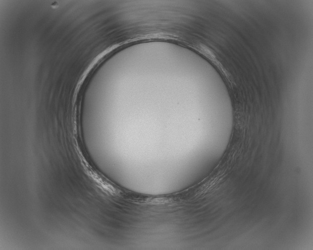 X0000060241140200511241326